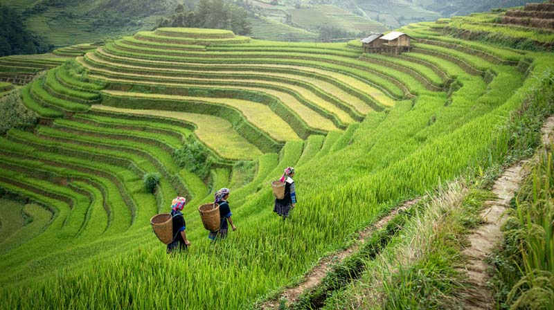 Imagen del destino Vietnam